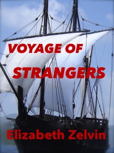 Voyage of Strangers book cover