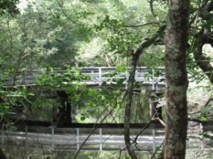 Bridge at Moore's Creek