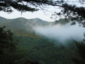 Snowbird mountains