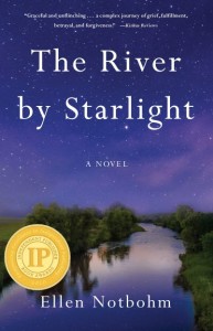 The River by Starlight book cover