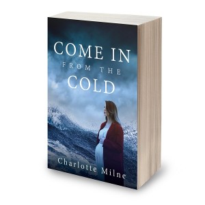 Come in from the Cold book cover