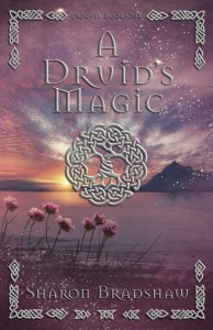 A Druid's Magic book cover
